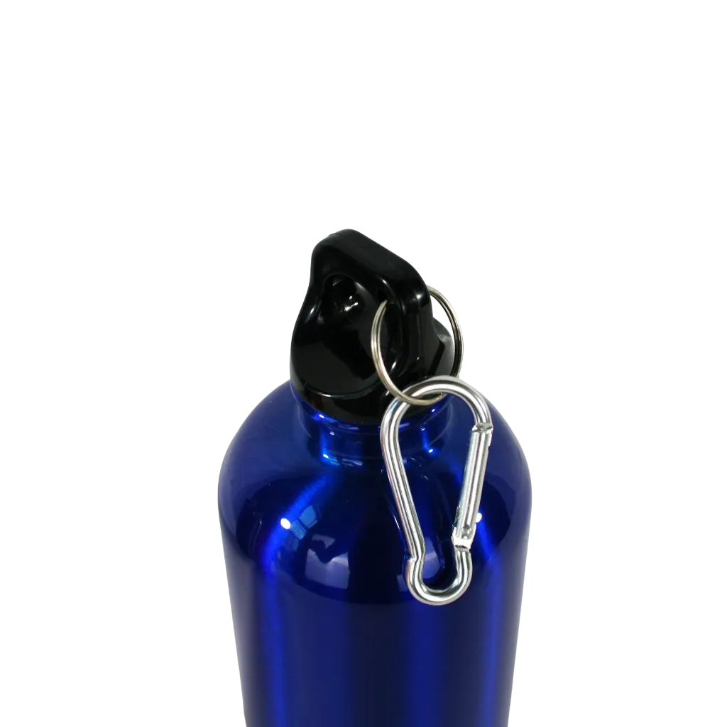 bleue2.webp