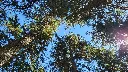 moon5.webp