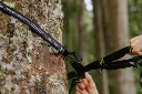 Straps3-01_4de8eaaa-b1d4-4e85-9ea8-5088e0e98e0b.webp