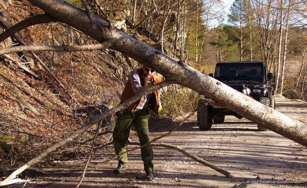 nordic_pocket_saw_rescue.webp