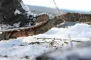 nordic_pocket_saw_winter_in_action-scaled.webp