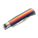 old-bear_junior-s-rainbow-01OB084_2.webp