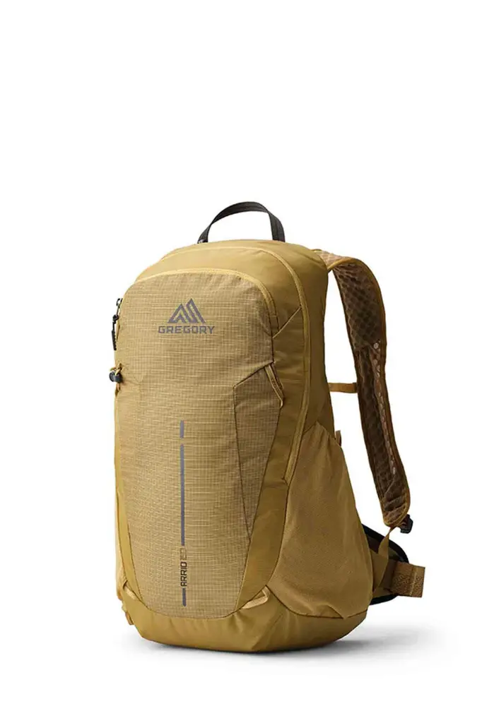 Gregory Arrio 20 (Cloud Control)